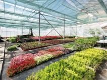 Prodej komerční nemovitosti, Miřetice, 956 m2