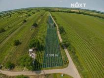 Prodej sadu/vinice, Prušánky, 2318 m2