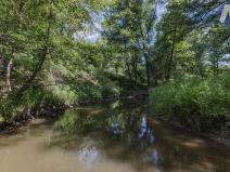 Prodej rybníku, Planá, 1939 m2