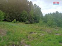 Prodej louky, Kořenov - Rejdice, 7967 m2