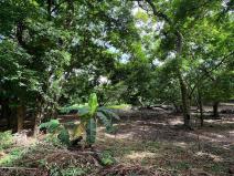 Prodej pozemku, Coxen Hole, Roatán, Honduras, 3265 m2