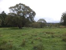 Prodej pozemku, Mirotice - Lučkovice, 177 m2