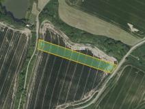 Prodej pole, Chotýšany, 2635 m2