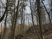 Prodej pozemku, Louňovice pod Blaníkem, 23891 m2