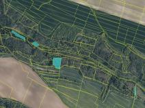 Prodej lesa, Mělnické Vtelno, 5383 m2