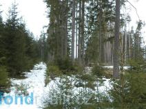 Prodej pozemku, Nová Bystřice - Blato, 19660 m2