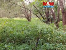 Prodej louky, Bystřice, 682 m2