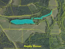 Prodej lesa, Svatý Jan, 11743 m2