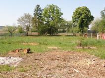 Prodej pozemku pro bydlení, Přeštice, 2575 m2