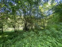 Prodej pozemku, Hartmanice, 3924 m2