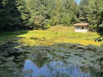 Prodej pozemku, Trutnov, 26242 m2