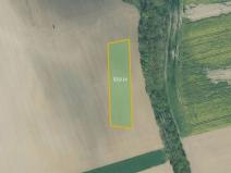 Prodej pole, Dnešice, 3831 m2