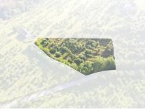 Prodej sadu/vinice, Troskovice, 8502 m2