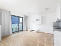 Pronájem bytu 1+kk, Praha - Žižkov, Olšanská, 41 m2