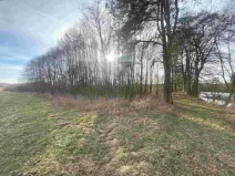 Dražba pozemku, Trstěnice, 1109 m2