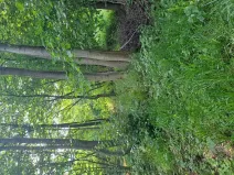 Prodej pozemku, Rožnov pod Radhoštěm, 126 m2