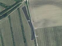 Prodej sadu/vinice, Čejkovice, 3575 m2