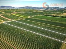 Prodej sadu/vinice, Březí, 15935 m2