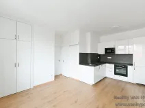 Pronájem bytu 2+kk, Praha - Vinohrady, Hollarovo náměstí, 47 m2