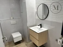 Pronájem bytu 1+kk, České Budějovice, Branišovská, 32 m2
