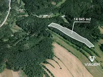 Prodej podílu lesa, Kuřimská Nová Ves, 6242 m2