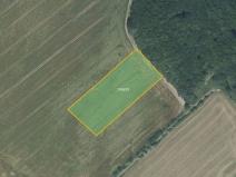 Prodej pole, Hrabyně, 7289 m2