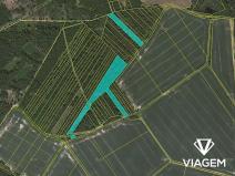 Prodej podílu lesa, Komárov, 8639 m2