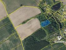 Prodej lesa, Hrobčice, 3018 m2