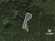 Prodej podílu lesa, Morávka, 2066 m2