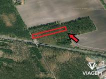 Prodej podílu lesa, Lysá nad Labem, 720 m2