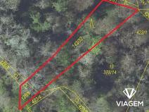 Prodej lesa, Pašinka, 606 m2