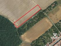 Prodej podílu pole, Letonice, 2980 m2