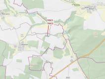 Dražba lesa, Osek, 1823 m2