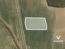 Prodej pole, Vinařice, 12754 m2