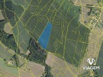 Prodej podílu pole, Pustá Kamenice, 4864 m2