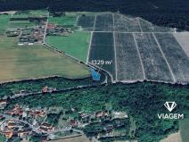 Prodej pole, Milý, 1329 m2