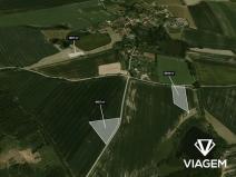 Prodej podílu pole, Tučapy, 3119 m2