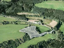 Prodej lesa, Svojšín, 11749 m2