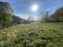 Dražba louky, Zdislava, 1384 m2