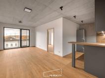 Pronájem bytu 1+kk, Plzeň, Kamenická, 55 m2