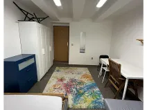 Prodej bytu 1+kk, Praha - Nusle, Doudlebská, 31 m2