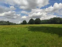 Dražba pozemku, Jihlava, 381291 m2