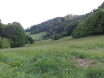 Dražba pole, Městečko Trnávka, 12576 m2