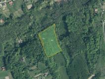 Prodej lesa, Doubrava, 10811 m2