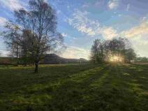 Prodej pole, Cvikov - Trávník, 16894 m2