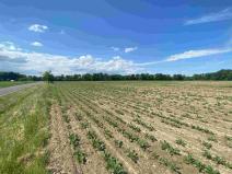 Prodej pozemku, Dolní Životice, 1696 m2