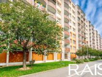 Prodej bytu 3+kk, Brno, Ježkova, 73 m2