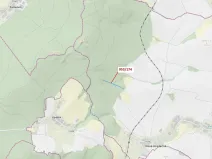 Dražba lesa, Nová Hradečná, 6275 m2