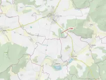 Dražba lesa, Koloveč, 7329 m2