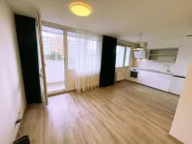 Pronájem bytu 1+kk, Praha - Krč, Murgašova, 42 m2